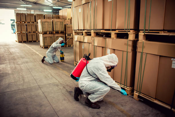 Best Local Pest Control Services  in Fort Totten, ND
