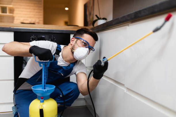 Best Residential Pest Control  in Fort Totten, ND