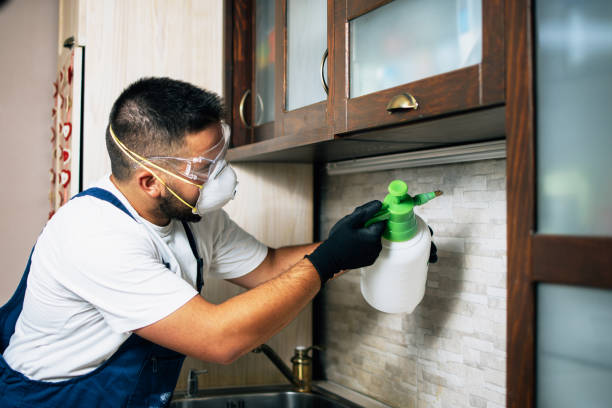 Best Best Pest Control Companies  in Fort Totten, ND