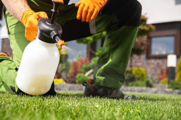 Best Rat Extermination Near Me  in Fort Totten, ND
