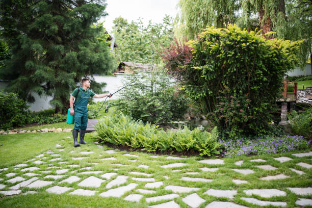 Best Cockroach Control Services  in Fort Totten, ND