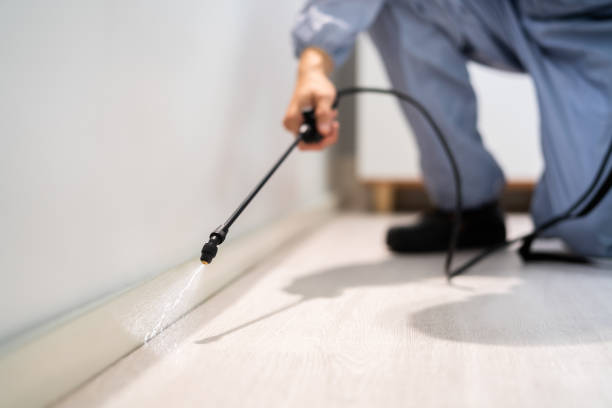 Best Termite Control Services  in Fort Totten, ND