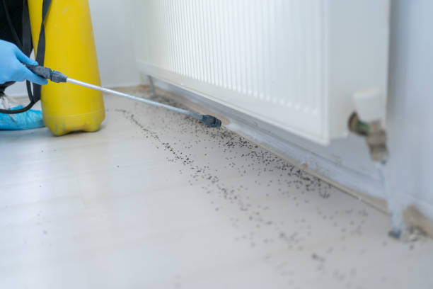 Best Bed Bug Extermination  in Fort Totten, ND