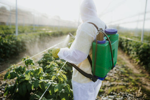 Best Affordable Pest Control Services  in Fort Totten, ND